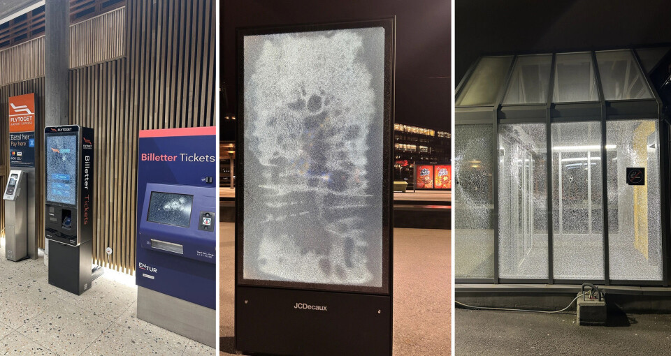 Pågrepet etter omfattende skadeverk