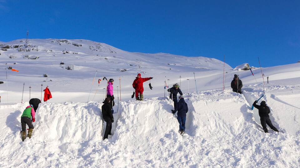Er du en Severin Suveren? Derfor bør du heller lage kantgrop enn snøhule