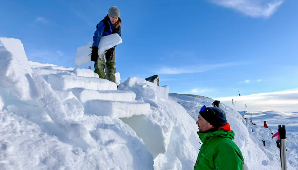 Er du en Severin Suveren? Derfor bør du heller lage kantgrop enn snøhule