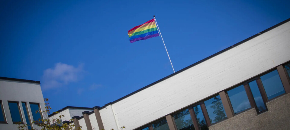Pride-debatten: Alle skolene skal ha felles flagg-markering - og ingen får slippe unna