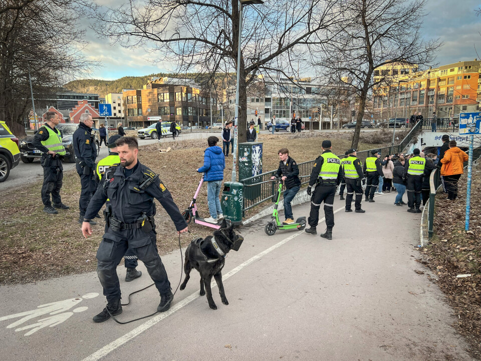 Politiet: - Ingen straffesaker opprettet foreløpig