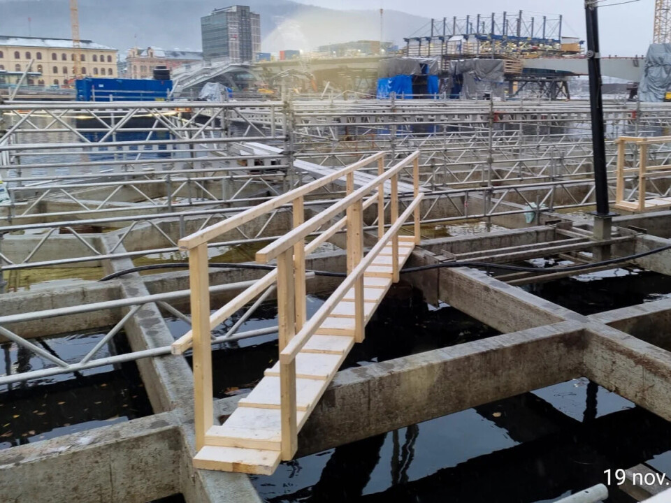 Ny brygge ved Skutebrygga er ferdig