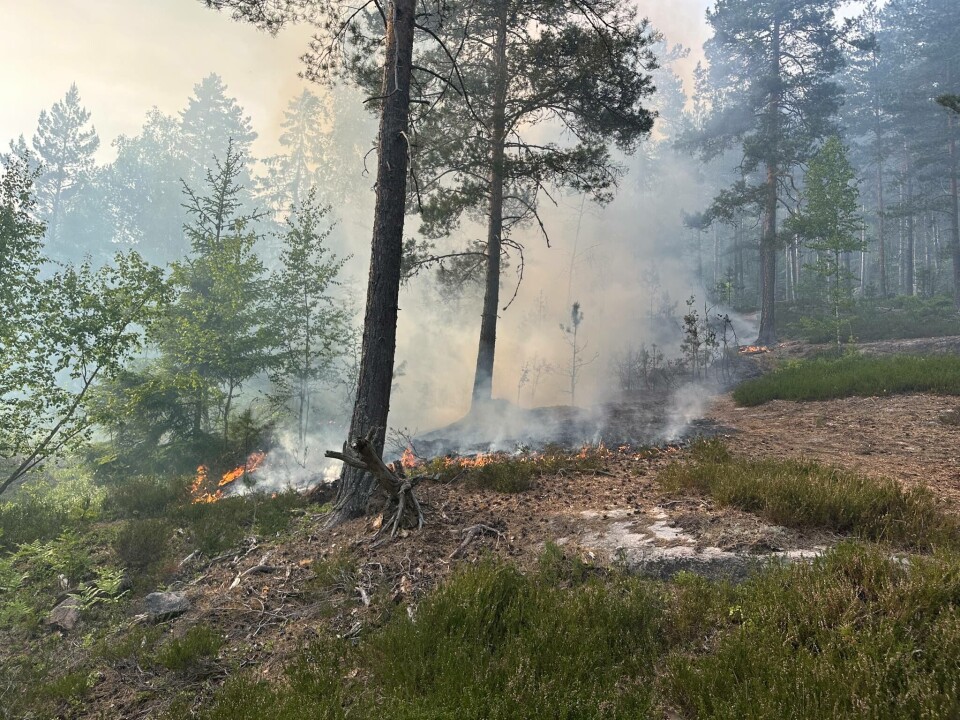 Her fra før brannvesenet ankom stedet.