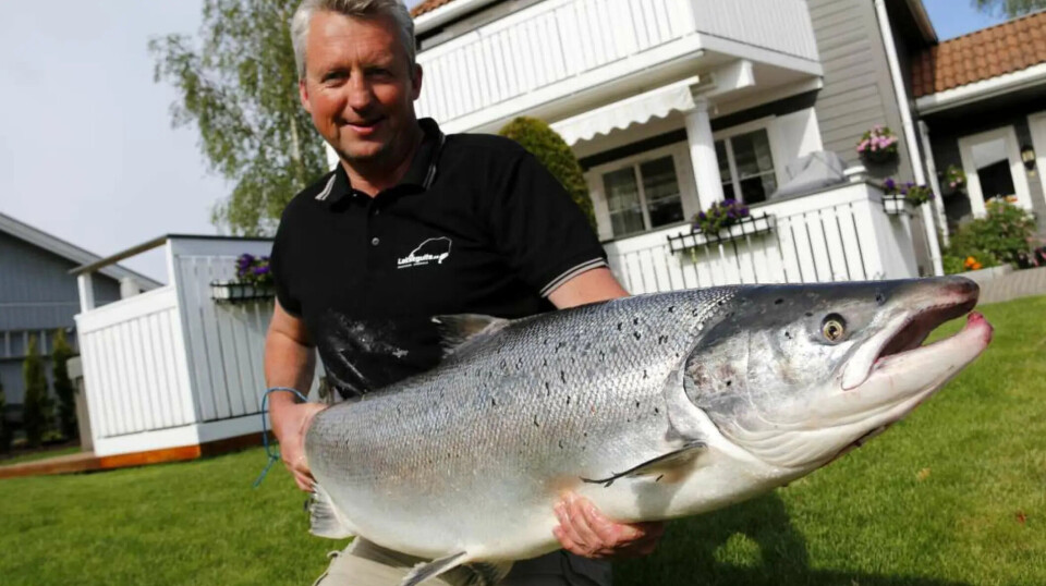 DRAMMENS-LAKS: Terje Clausen med en laks på over 20 kilo tatt i Hellefossen, Drammenselva.