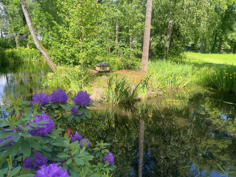 Gulskogen gård - byens grønne oase