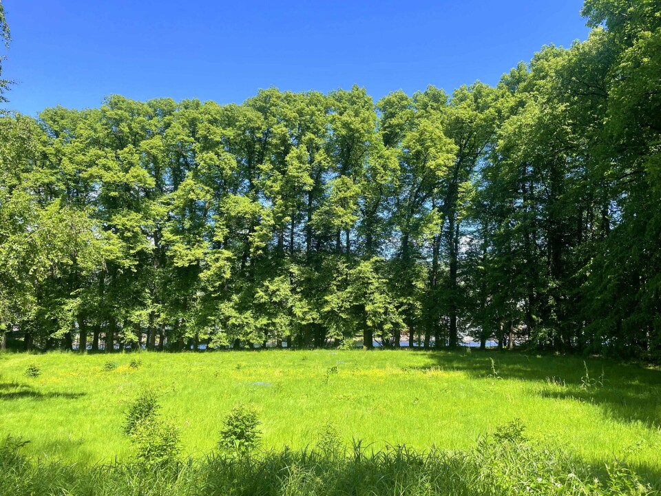 Gulskogen gård - byens grønne oase