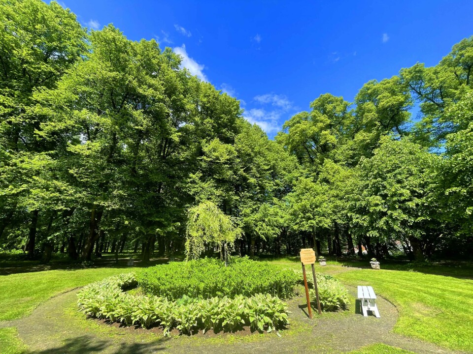 Gulskogen gård - byens grønne oase