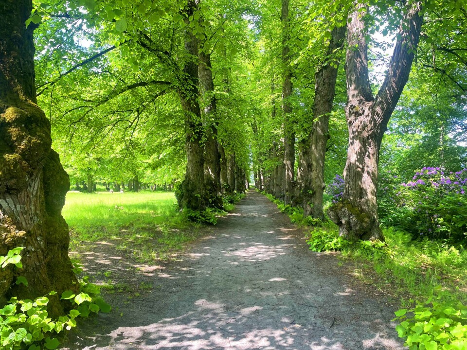 Gulskogen gård - byens grønne oase
