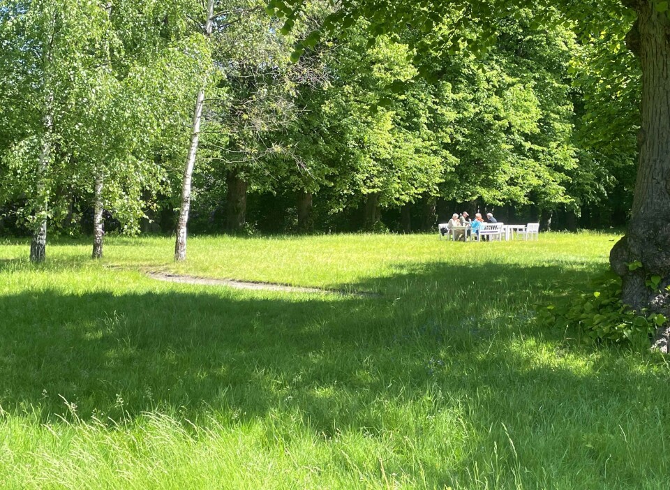Gulskogen gård - byens grønne oase