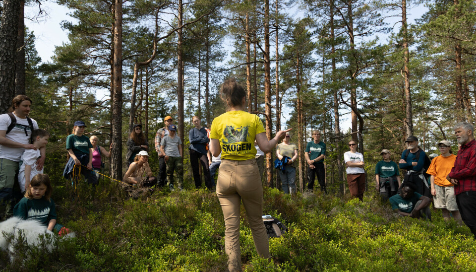 FANESAK: På camp ble diskutert rundt hvordan man kan unngå industrialisering av marka.