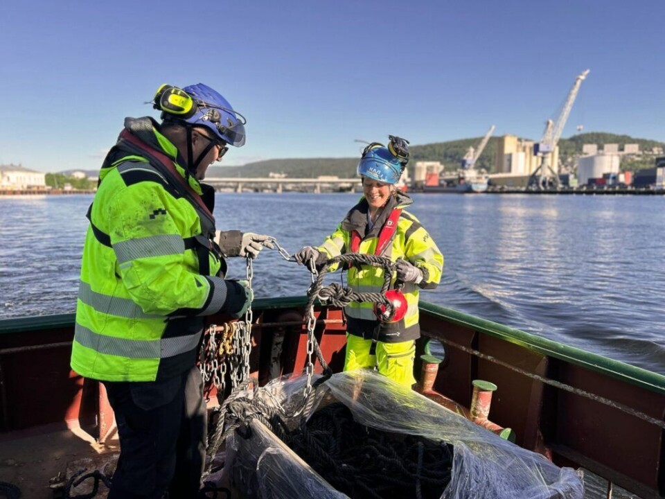 NYTT PROSJEKT: Et testanlegg for kultivering av tunikater er utplassert i Drammensfjorden i forbindelse med et nytt forskningsprosjekt.