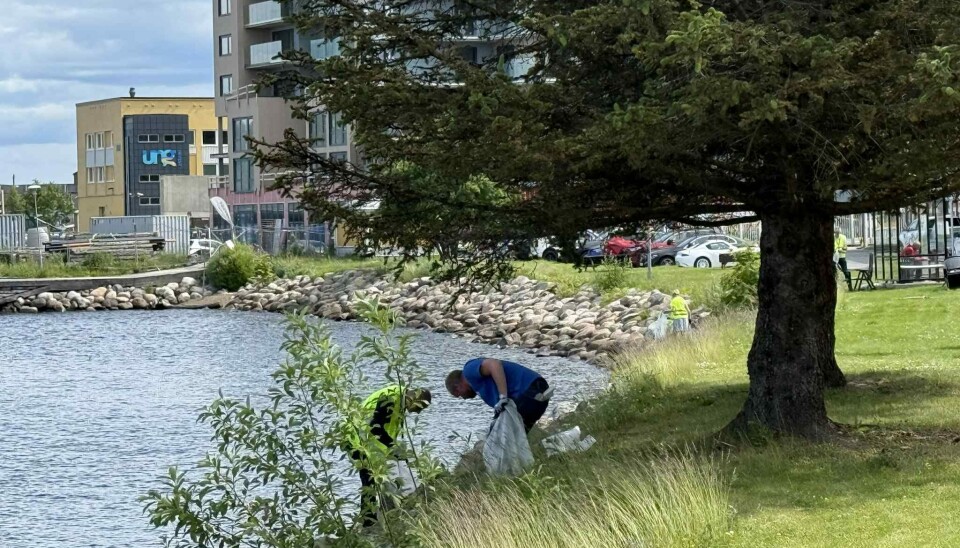RENSKET OPP: Det ble samlet inn litt over 60 kilo søppel fra nærområdet.