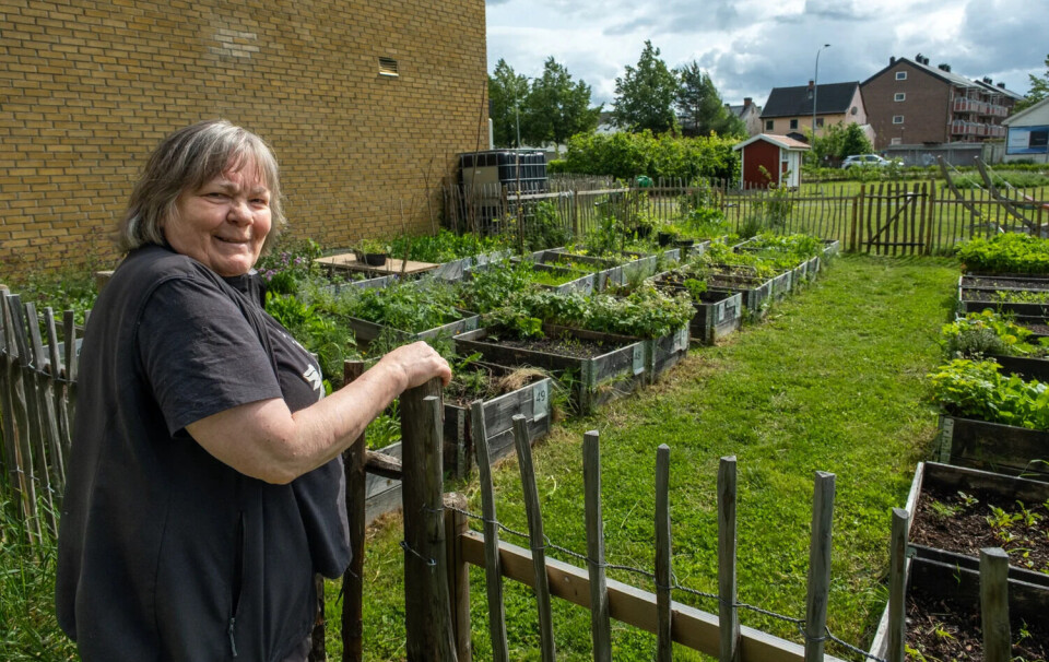 HAGE: Ann-Elin Rand liker å tilbringe tid i hagen, og bruker mye tid på å få det til å spire og gro.