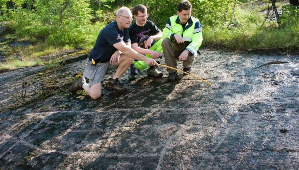 FANT ELG: Det var Are Janson som oppdaget elgen under mosen. Her sammen med arkeologene Bernt-Egil Tafjord og Lars Hovland fra Buskerud fylkeskommune tilbake i 2013, da elgen ble oppdaget.