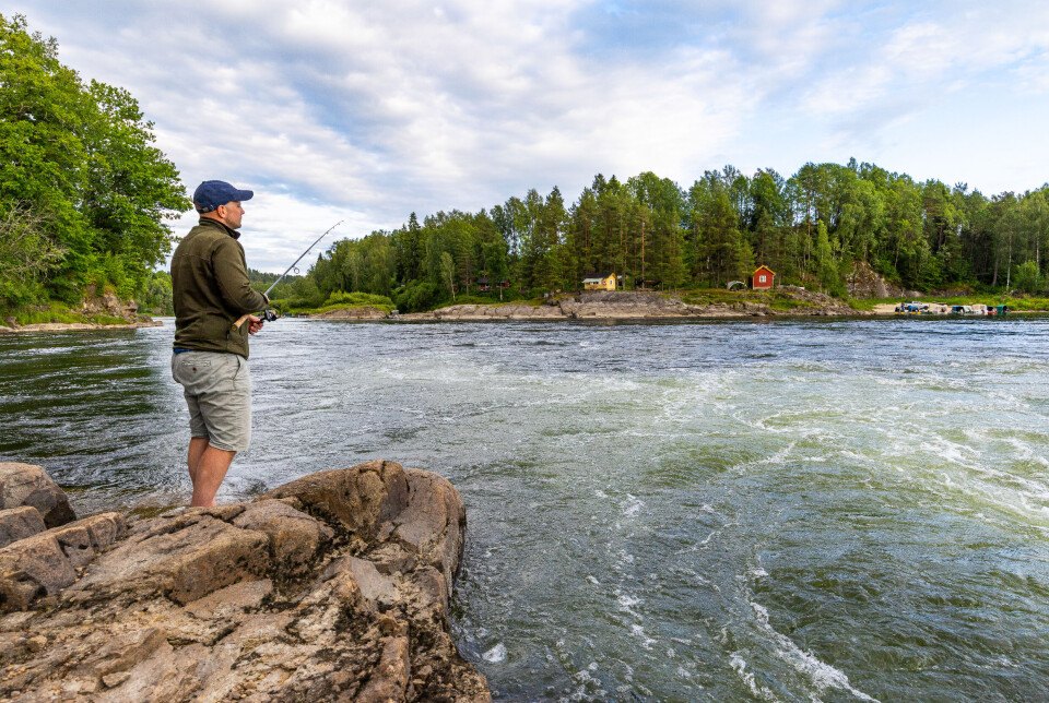 I vår ble det innført de strengeste reglene for laksefiske noensinne både i elv og sjø.
