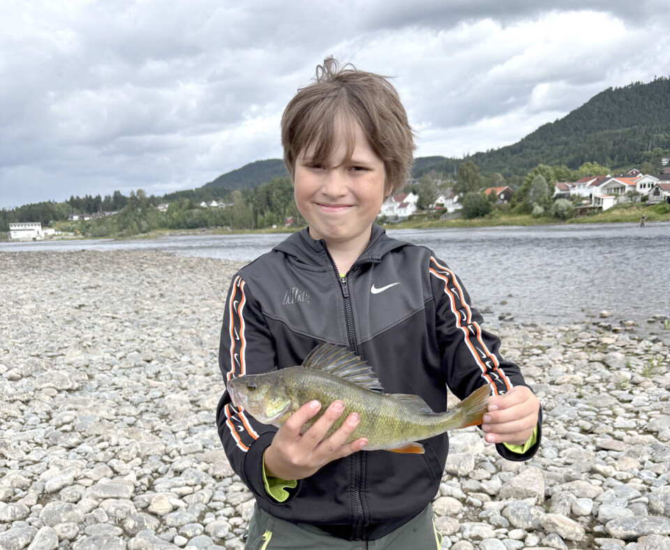 Milan Lishchynskyi vant ungdomsklassen med denne flotte abboren