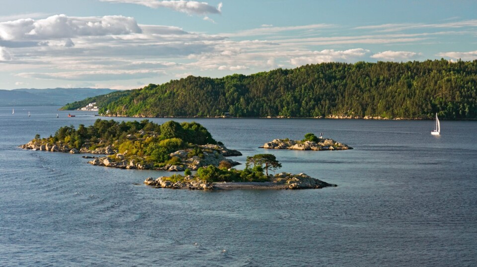 Oslofjorden: Miljøbevegelsen ber regjeringa støtte kystfiskerne