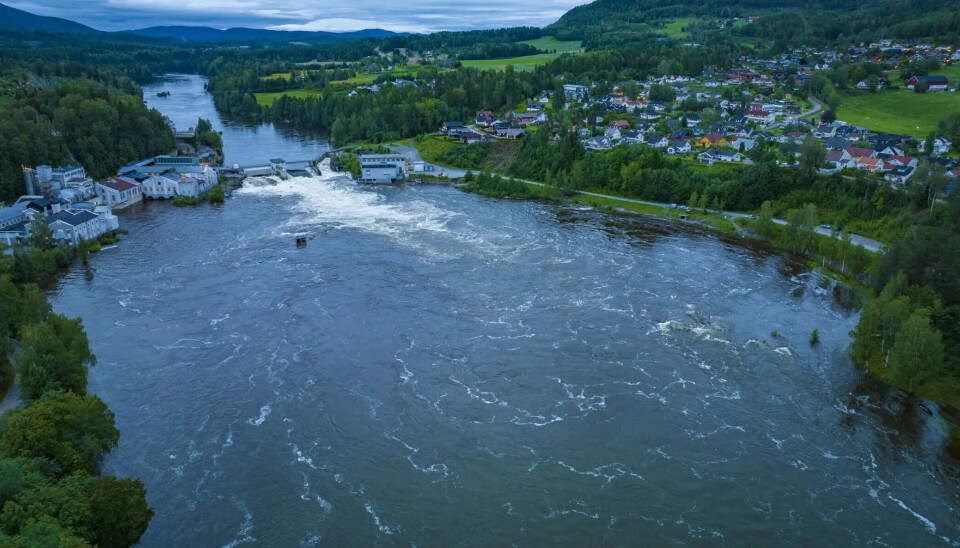 Har startet med klorforsøk i Drammenselva