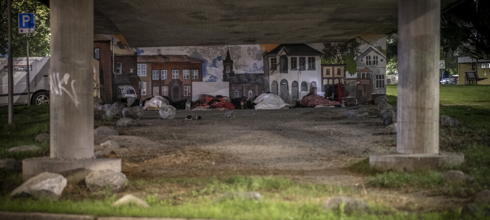 Slakter tigger-utredning: - Naivt og bortkastede penger