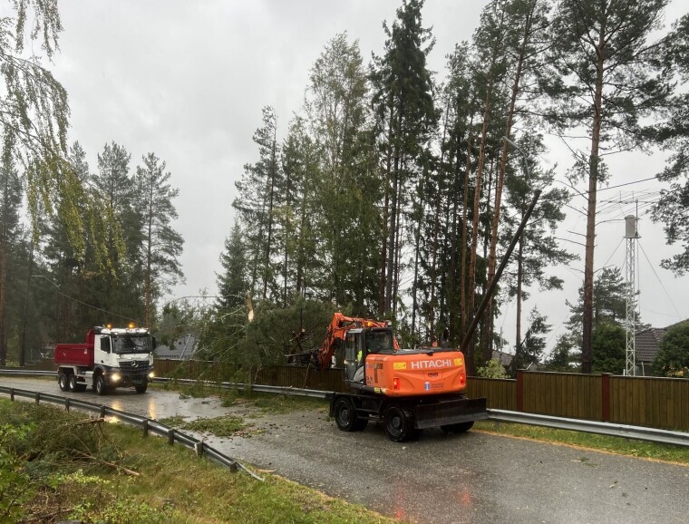 OPPRYDNING: Her etter trefall ved Hovjordet/Langløkka.