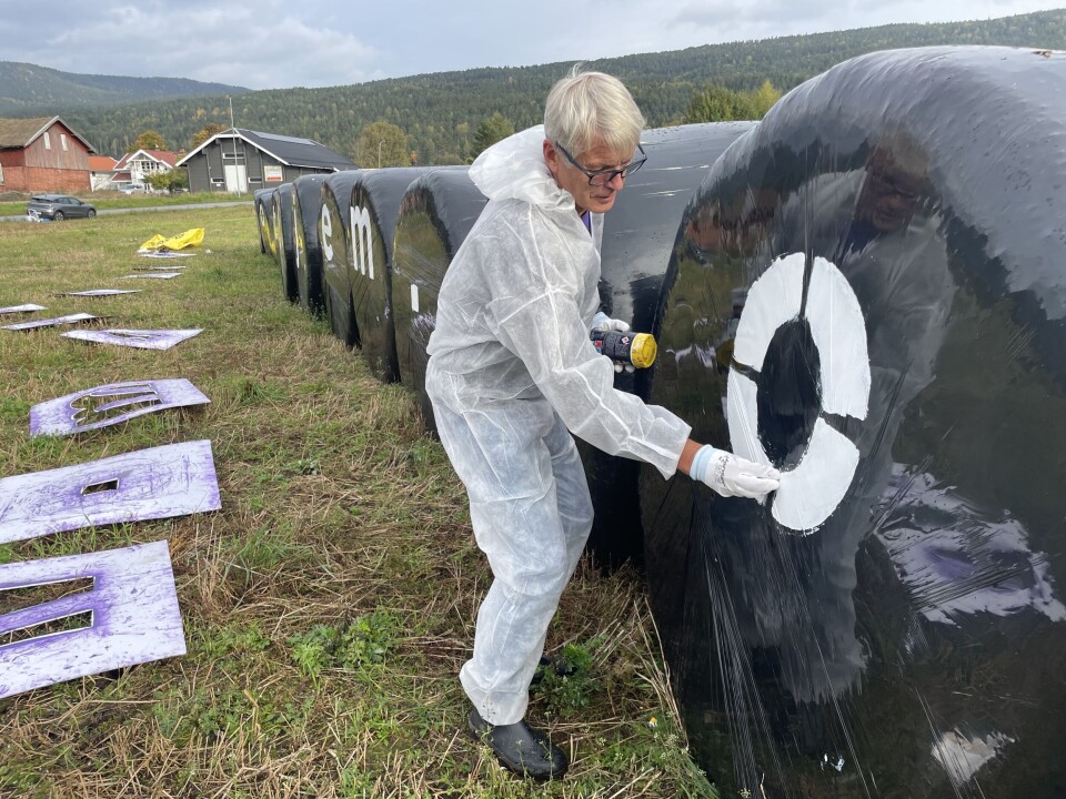 Geir Birger Kristoffersen i Bufetat i gang med utsmykningen ved FV283 i Solbergelva.