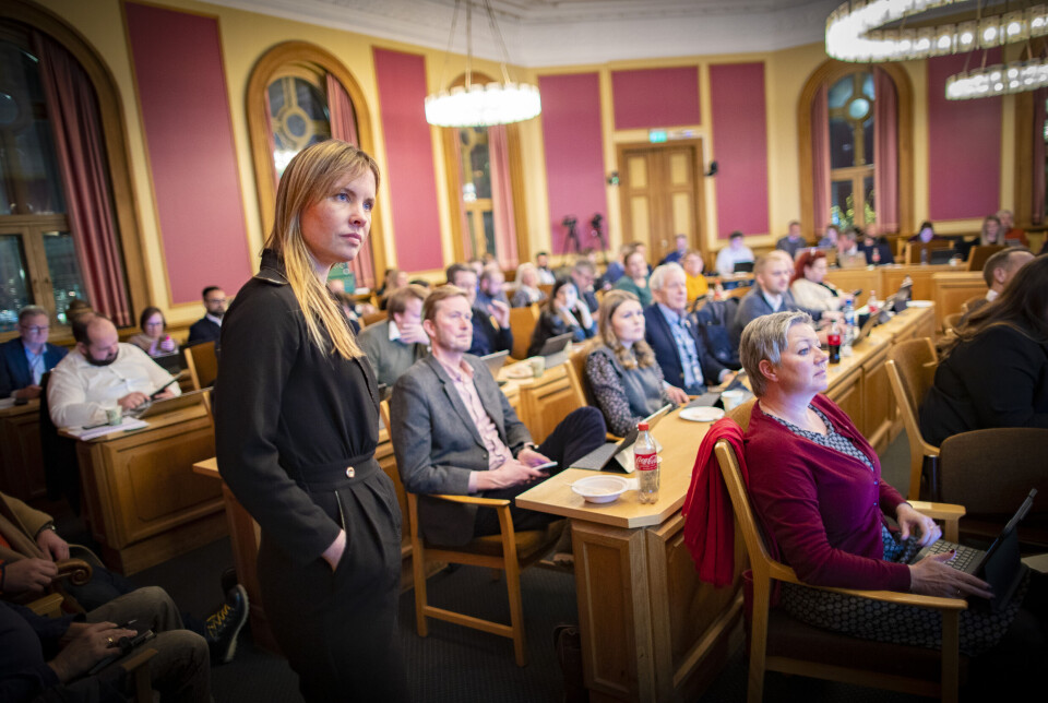 MDG og gruppeleder Cathrin Janøy er blant de partiene som figurerer mye i overskriftene utifra partistørrelsen, og havnet i år for første gang over sperregrensa i stortingsvalget.