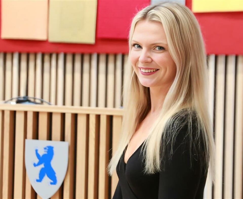 Gjerde tar over lederverv i fylkestinget