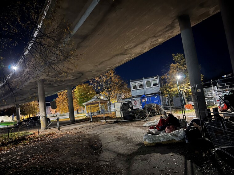 Politiet svikter, og politikerne skyver ansvaret nedover