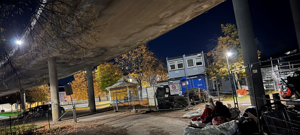 Politiet svikter, og politikerne skyver ansvaret nedover