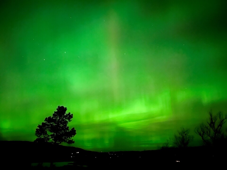 PÅ FJELLET: Fra Nesbyen kommune.