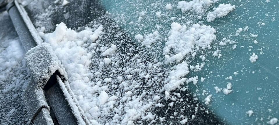 Vinteren lar vente på seg: Starter november med 13 varmegrader